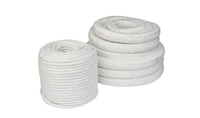 Tekstilni izdelki iz keramičnih vlaken - Pletenice